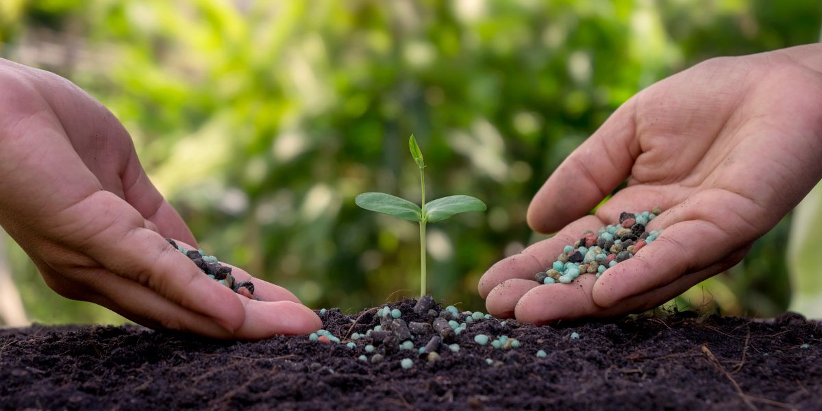 Terapia hortícola HAGAMOS JARDINERÍA JUNTOS
