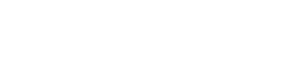 Logo Mindzenter Blanco